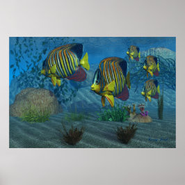 Royal Angelfish Impressão