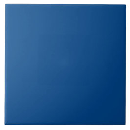 Royal Blue, Ocean Depth | #00458A