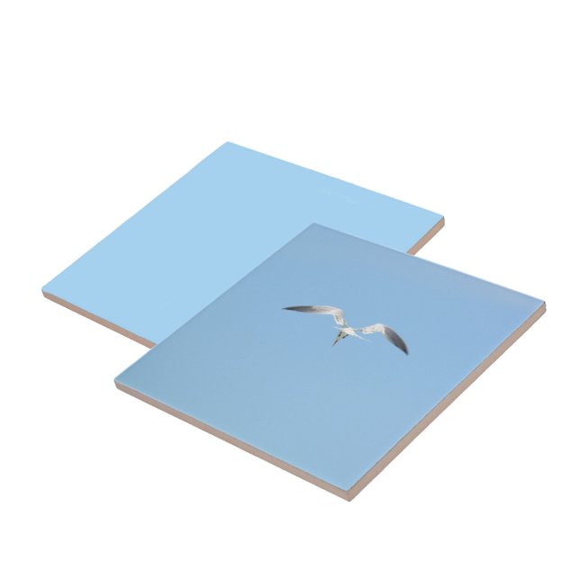 Royal Tern Seabird em voo Sky Blue (1 of 7 coordinating sky blue Seabird in flight ceramic tiles)