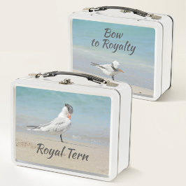 Royal Tern Seabirds Arco para Royalty Beach