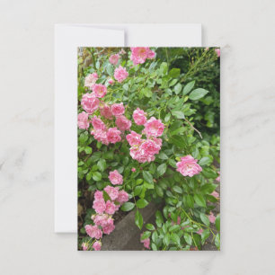 RSVP Cartão Floral Jardim de Rosas Rosa