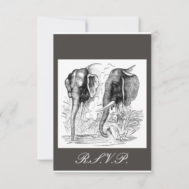 RSVP de Casamento Elefante (Frente)