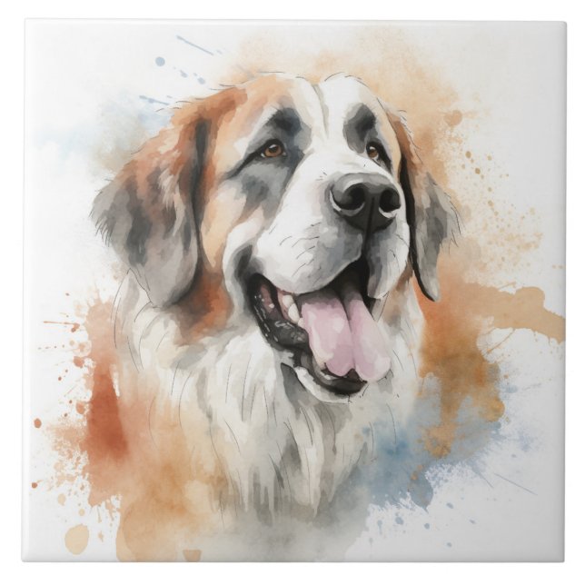 Rua. Bernard Dog, Watercolor (Frente)