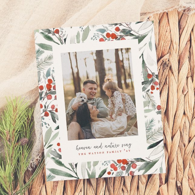 Rua de Natal do Céu do Orçamento Natureza Cantando (Criador carregado)