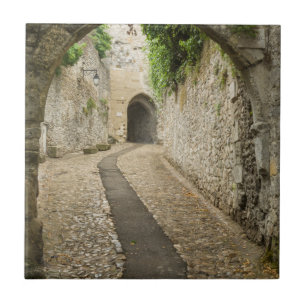 Rua de paralelepípedos cinza, França