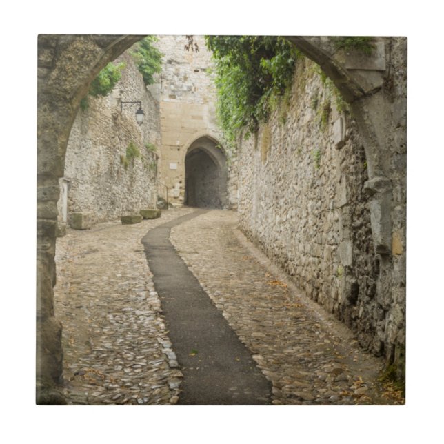 Rua de paralelepípedos cinza, França (Frente)