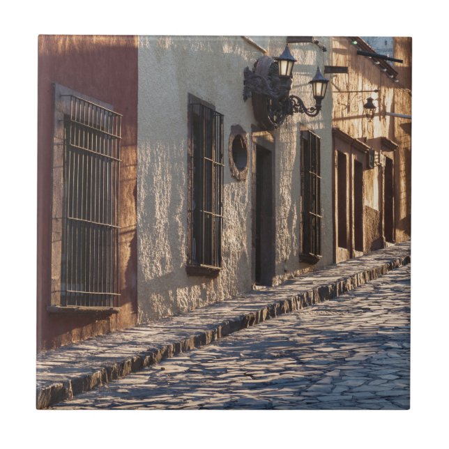 Rua de paralelepípedos no México (Frente)