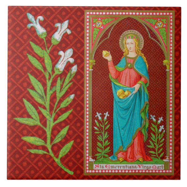 Rua. Emerentiana de Roma (SAU 36) (Frente)