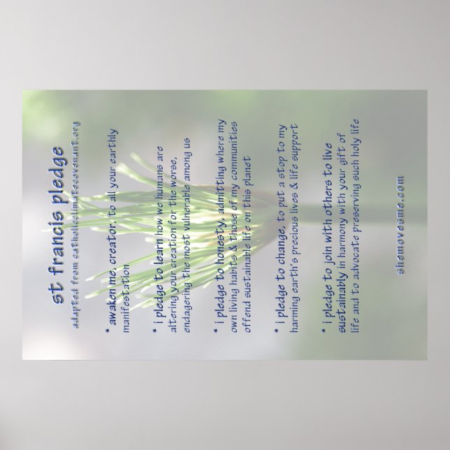 rua francis garantia ( revista ) POSTER (Frente)