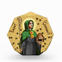 Rua. Ganho de Ballyvourney (SAE 003)