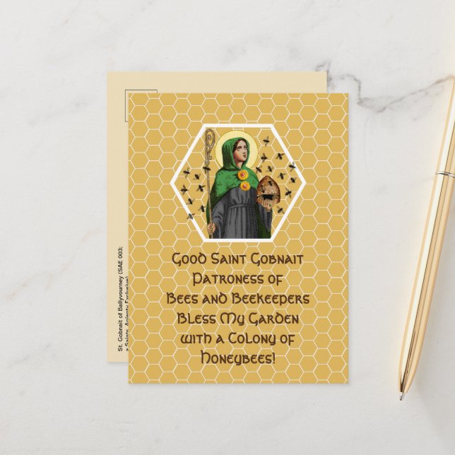 Rua. Gobnait of Ballyvourney (SAE 003) Cartão post (Frente/Verso In Situ)