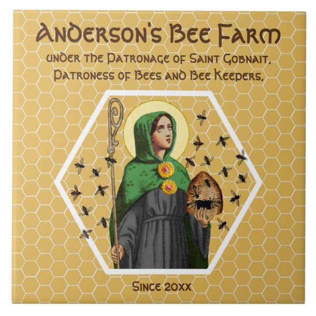 Rua. Gobnait of Ballyvourney (SAE 003) Cerâmica Az (Frente)