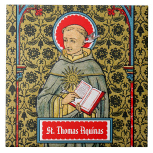 Rua. Thomas Aquinas (VVP 003)