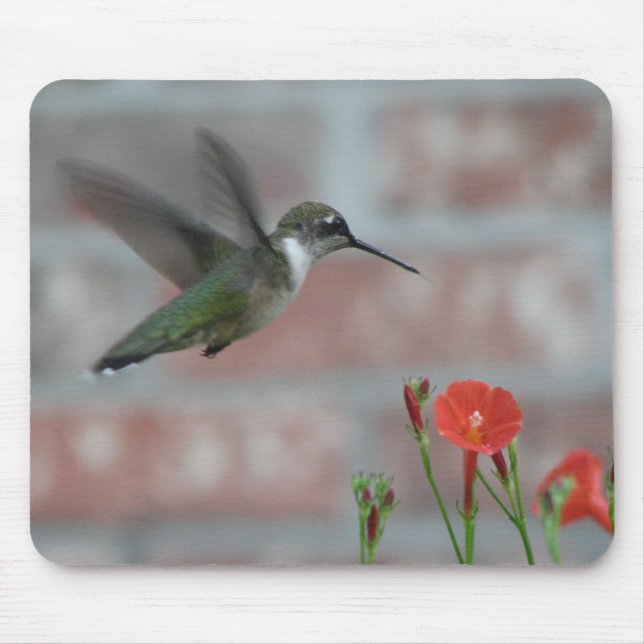 Rubi-garganta & corriola Mousepad (Frente)