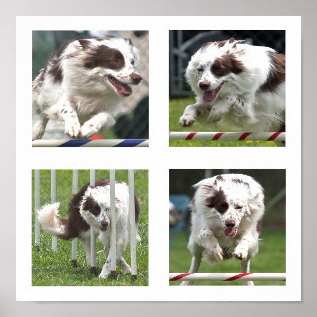 Ruby Agilidade Poster (Frente)