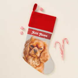 Ruby Cavalier King Charles Spaniel Dog Christmas S