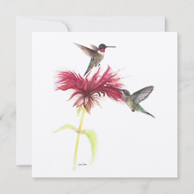 Ruby Throated Hummingbird Casal (Frente)