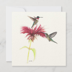 Ruby Throated Hummingbird Casal