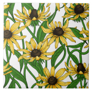 Rudbekia amarela em branco