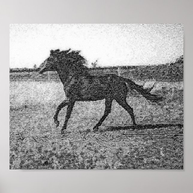 RUDOLFO - HORSE POSTER (Frente)