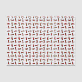 Rudolph, lenço de papel