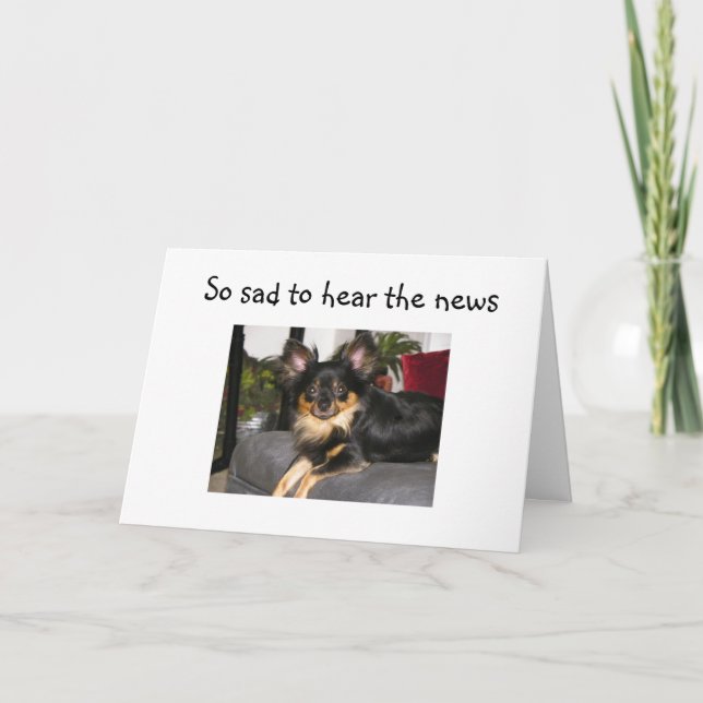 RUFF 40! CARTÃO DE ANIVERSÁRIO (Frente)