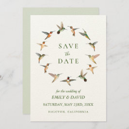 Rufous Hummingbird Salve o Anúncio da Data