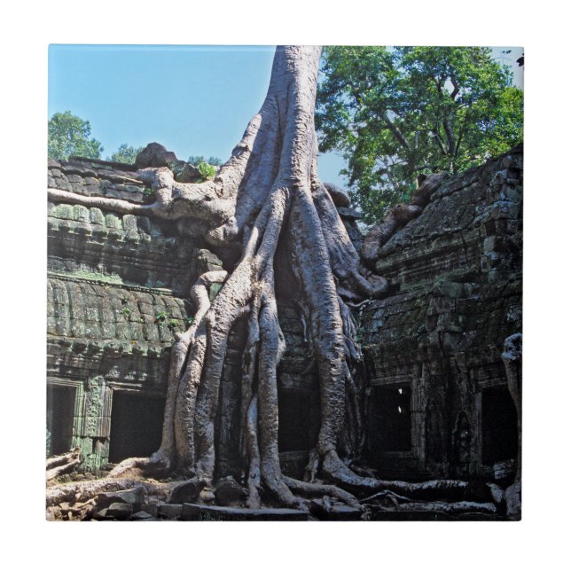 Ruína de Ta Prohm - Angkor Wat, Camboja, Ásia (Frente)