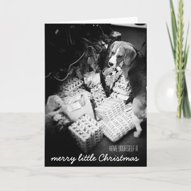 Rupert o cartão de Natal do Beagle (Frente)