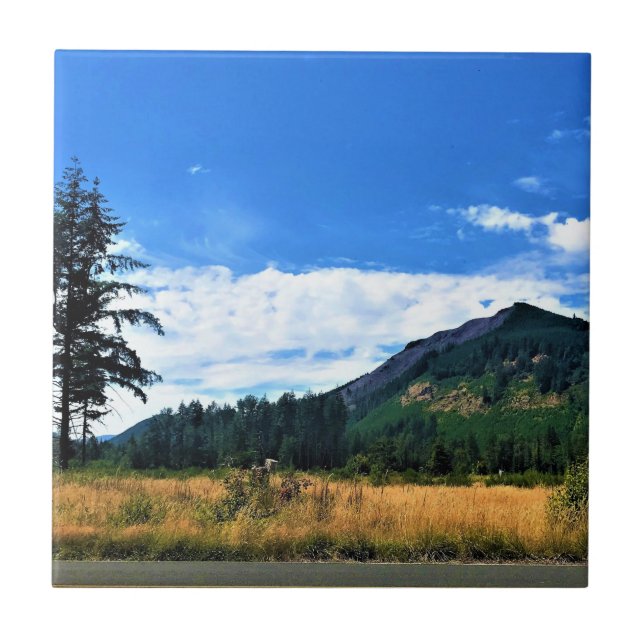 Rural Washington, Randle, WA (Frente)