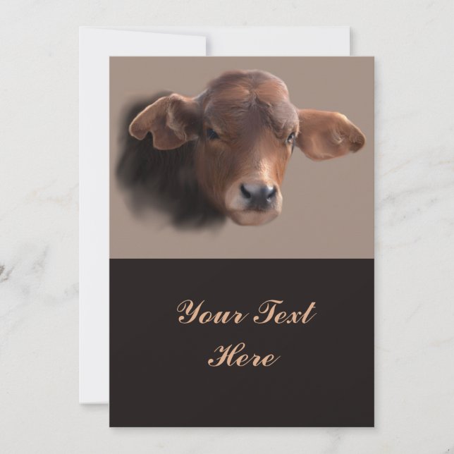 Russet Brown Cow Retrato (Frente)