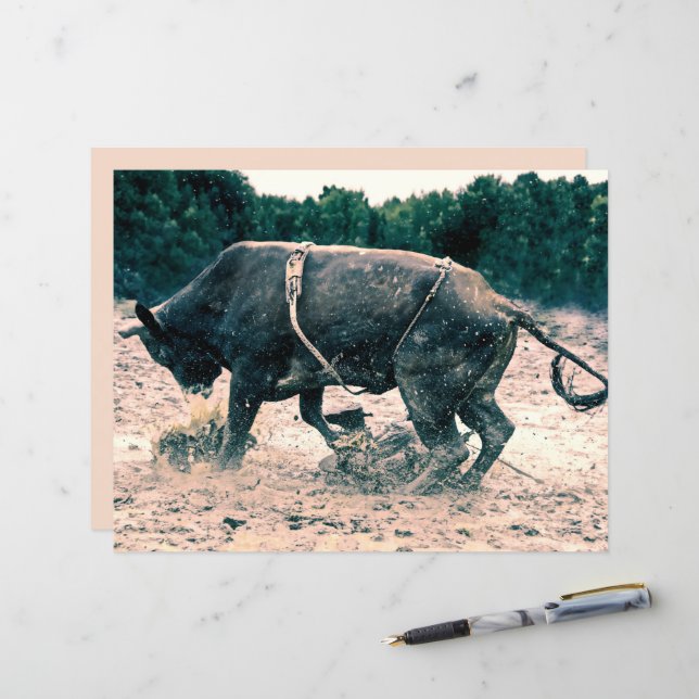 Russo do Cowboy Negro do Rodeo Ocidental (Frente/Verso In Situ)