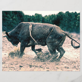 Russo do Cowboy Negro do Rodeo Ocidental