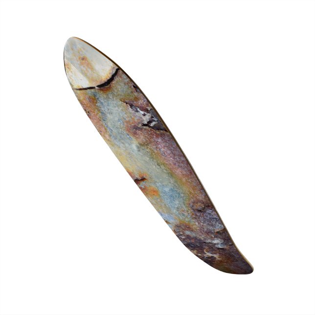 "Rusted Chrome" Skateboard (Frente)