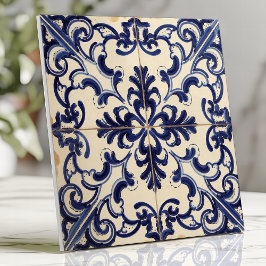 Rustic Blue e White Majolica