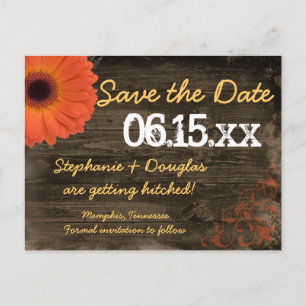 Rustic Daisy Barn Wood Salve Os Cartões Postais