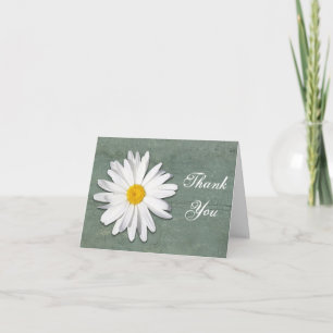 Rustic Shasta Daisy Crackled Paint Cartões de agra