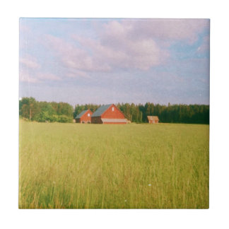 Rustic summer field, Helsingia, Sweden