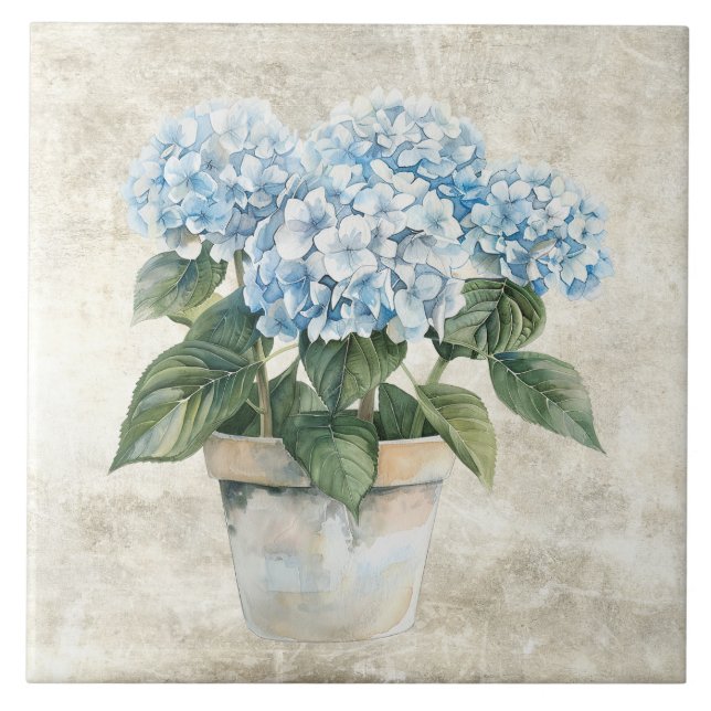 Rustic Watercolor Blue Hydrangea  (Frente)
