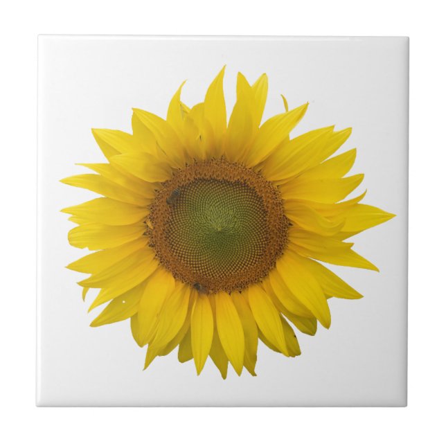 Rústico Simples de Girassol Moderno (Frente)