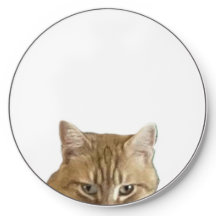 Rusty, O Gato Branco Sem Fios