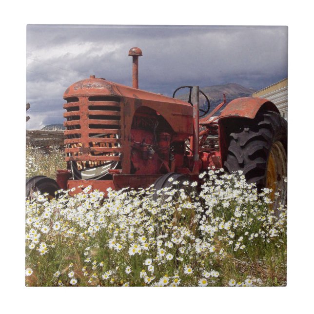 RuSTY VELHO ViNTAGE TRaCTOR (Frente)