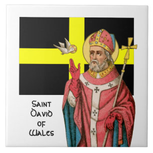 S. Davi de Gales (P 001) e sua Bandeira