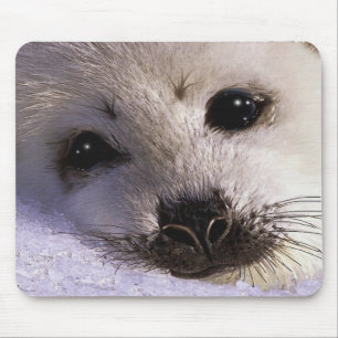 S.O.S. SALVAR NOSSOS animais selvagens Mousepad