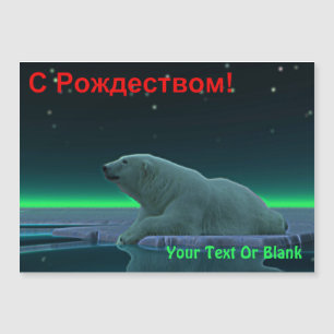 S Rozhdestvom - urso polar da borda do gelo