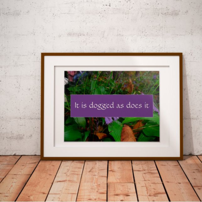 Sabedoria da persistência dizendo poster de foto (Criador carregado)