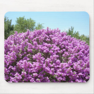Sábio de florescência Mousepad de Texas