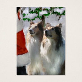 Sable Rough Collie presentes de Natal
