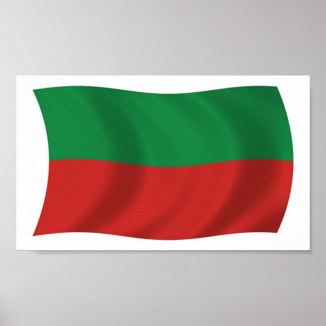 Sac & Fox Nation (Iowa) Flag Poster Impressão (Frente)