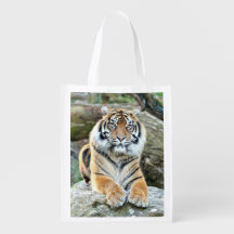 bolsa de compra do tigre fotográfico. bolsa de com